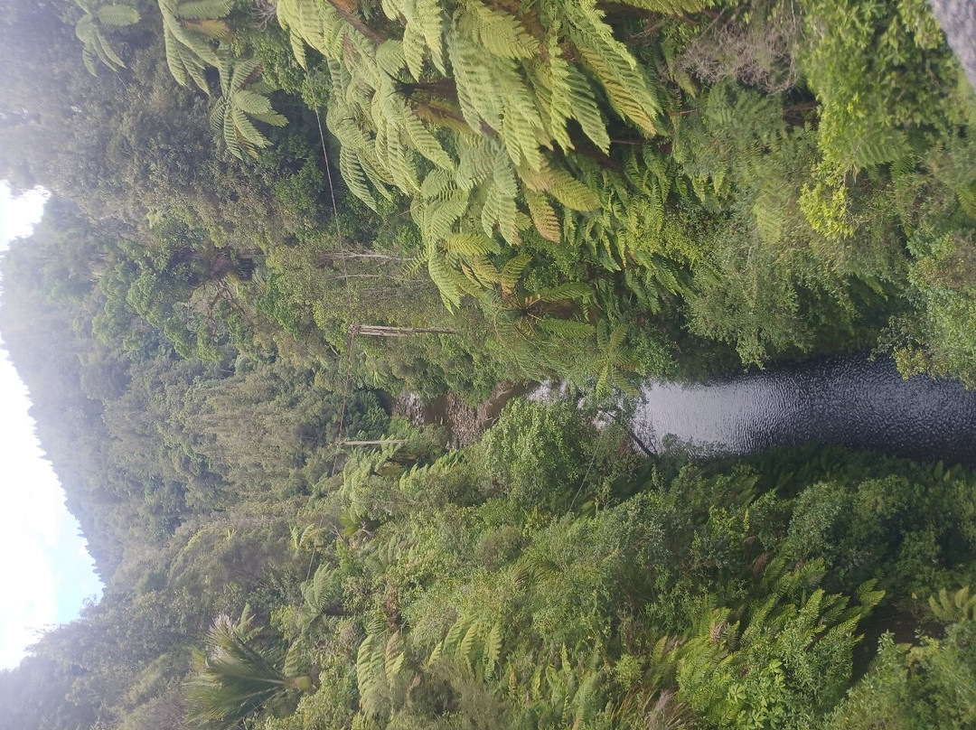 Owhango Adventures景点图片