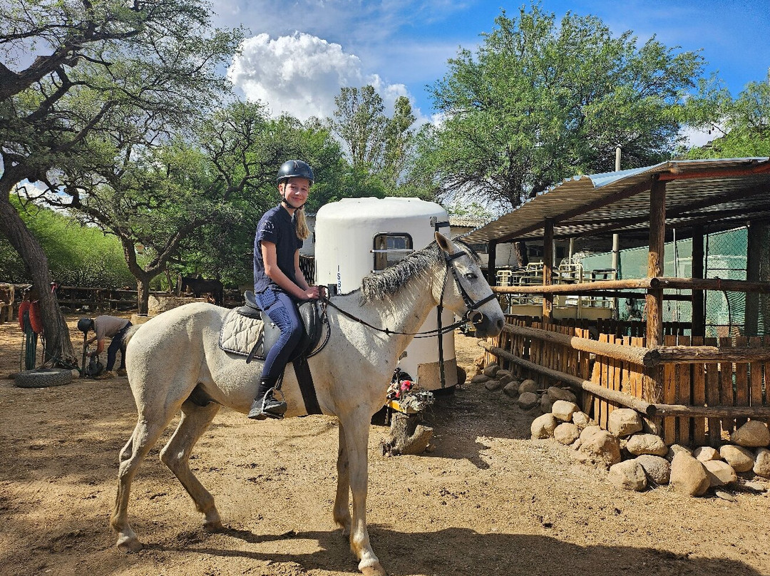 Equitrails Namibia-温德和克必去景点