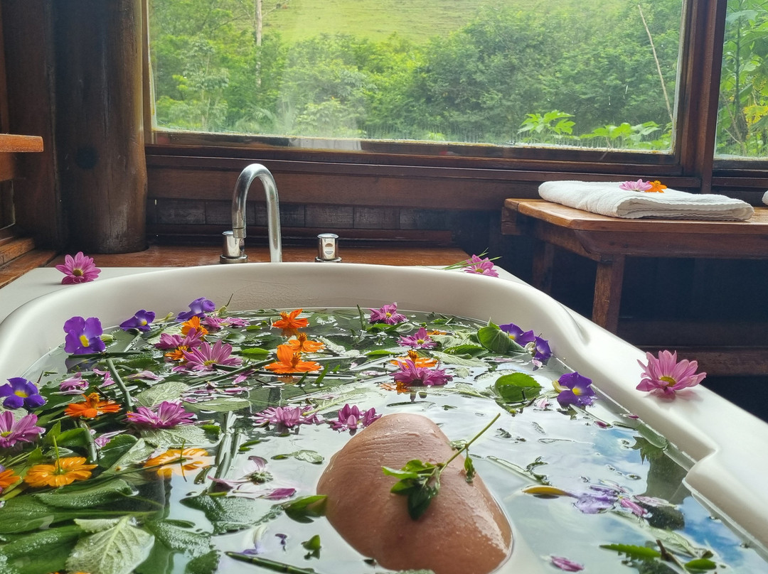 Bruxinhas do Mato-Sao Francisco Xavier必去景点