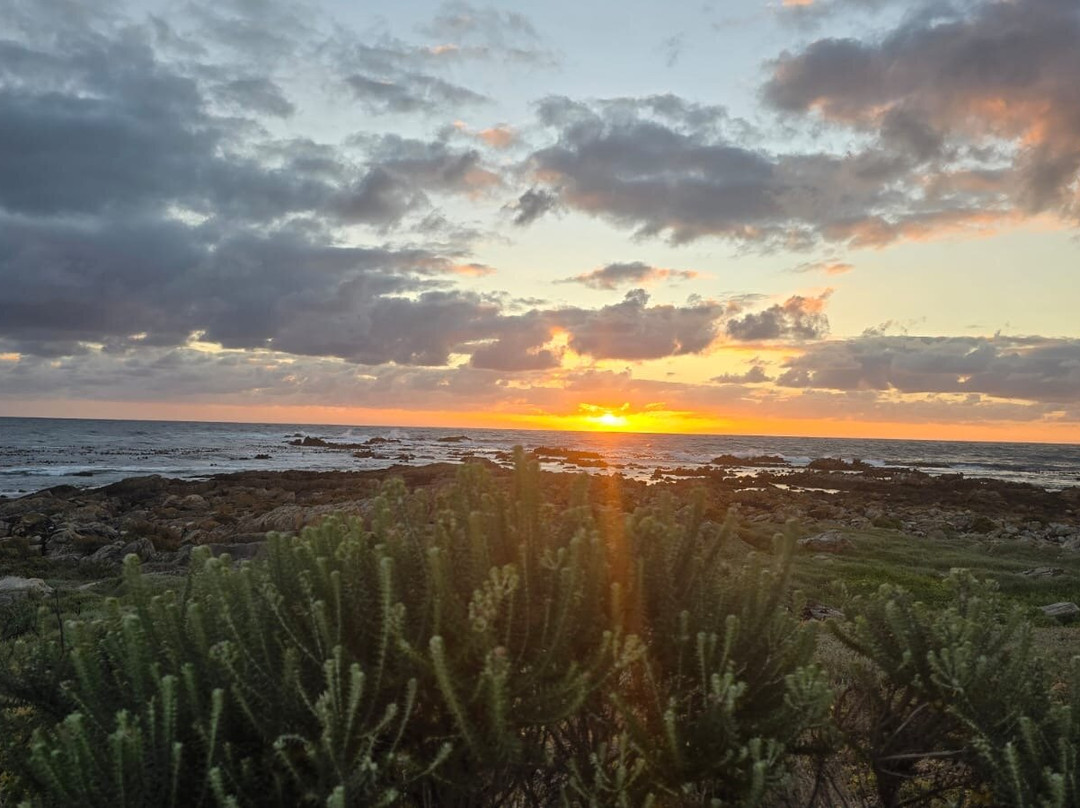 138海洋海滨宾馆主图