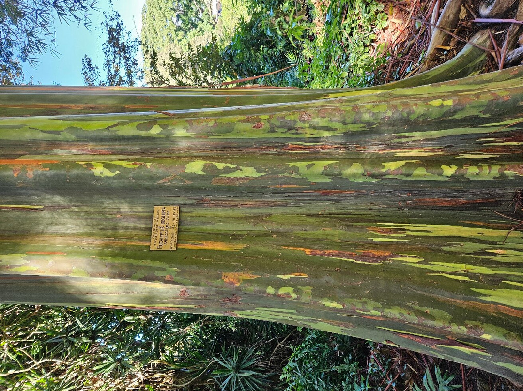 瓦西瓦植物园-瓦西瓦必去景点