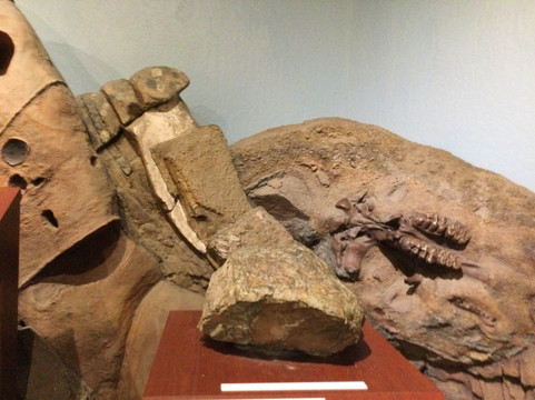 Mount Diablo State Park - Mitchell Canyon Visitor Center-Clayton必去景点