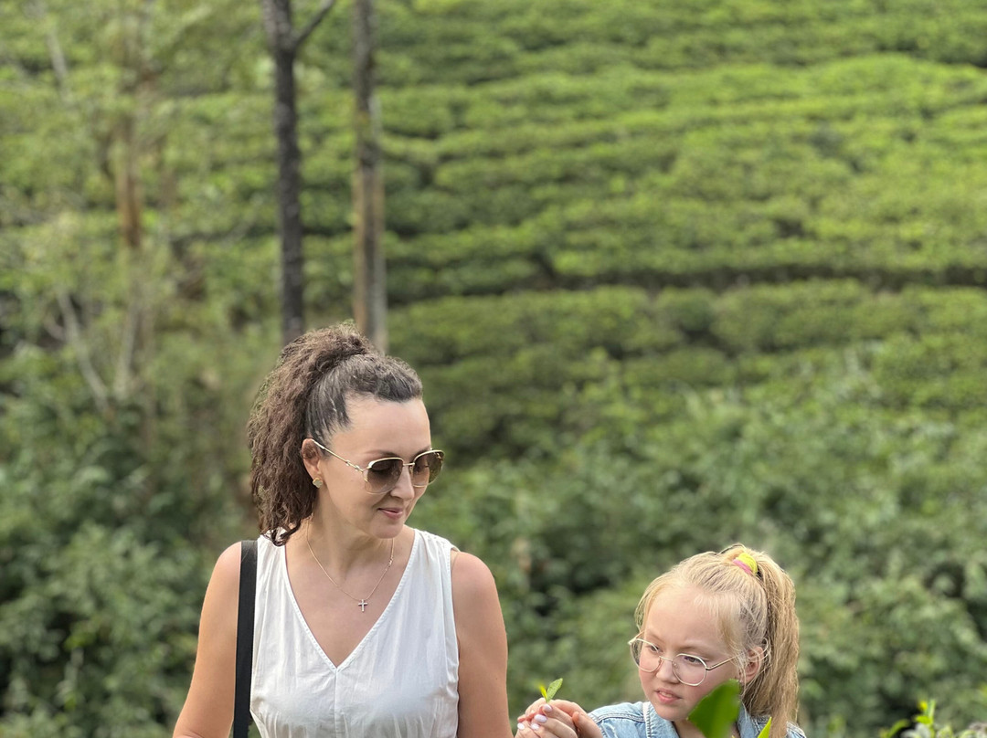 Monkey Tours Sri Lanka景点图片