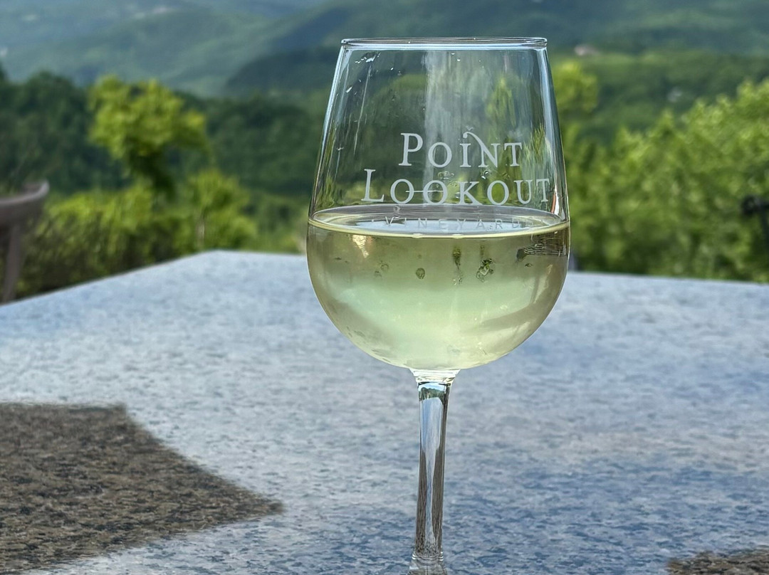 Point Lookout Vineyards景点图片