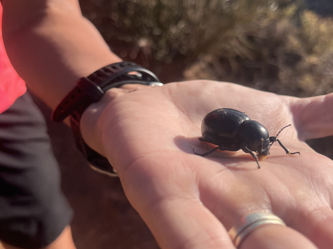 Vrolijkheid Nature Reserve-McGregor必去景点