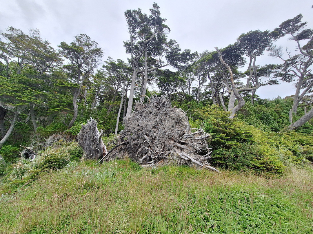 Faro San Isidro-蓬塔阿雷纳斯必去景点