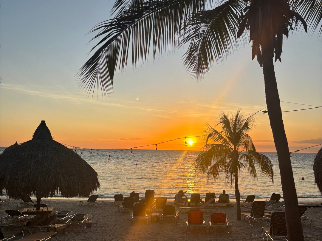 Blue Bay Dive & Watersports-威廉斯塔德必去景点