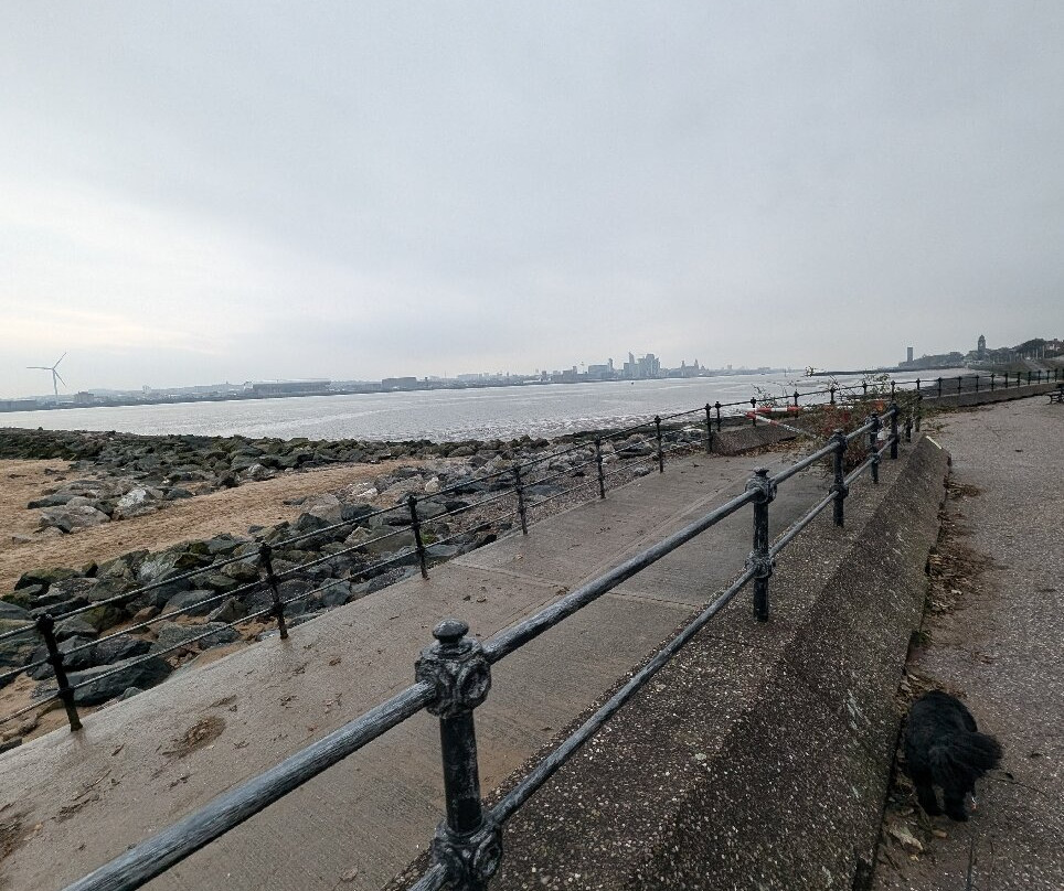Sea-Quinn Views
