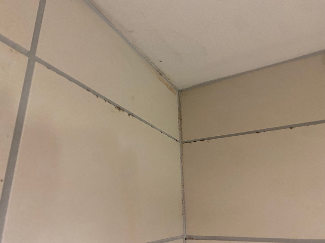 SpringHill Suites by Marriott Green Bay主图