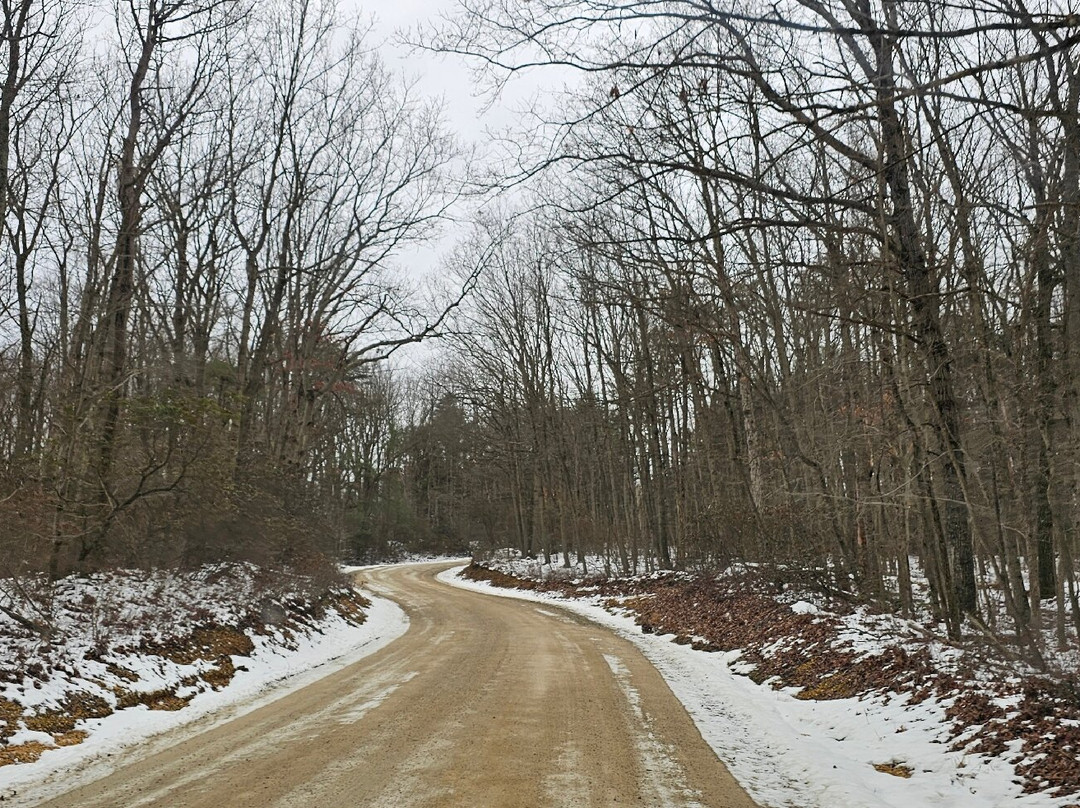 Elk Neck State Forest景点图片
