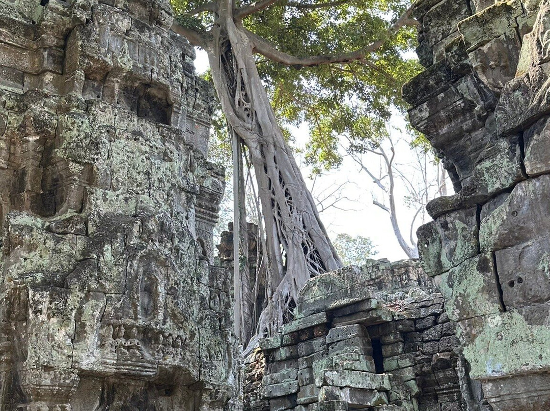 Angkor Wat Taxi-金边必去景点