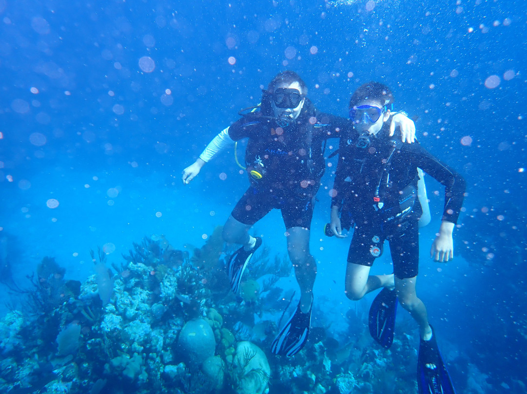 Andros Diving-Kemps Bay必去景点