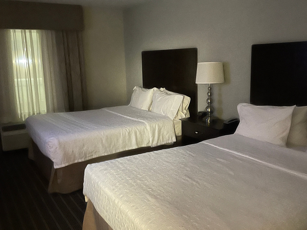 Hampton Inn & Suites Albuquerque/airport主图