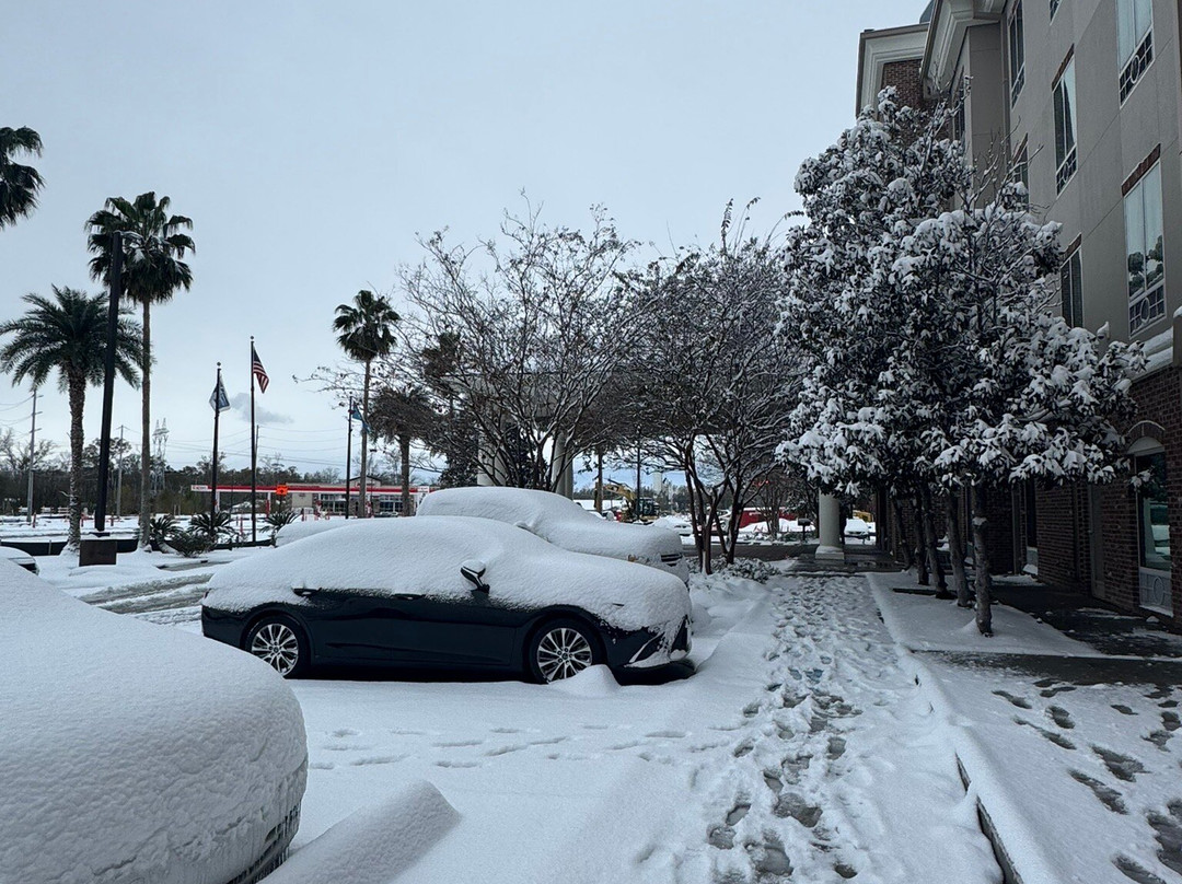 Holiday Inn Express & Suites Gonzales By IHG主图