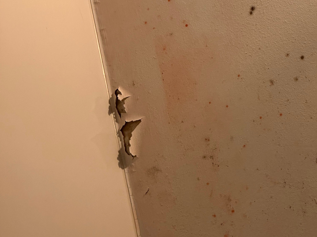 朱莉安娜酒店主图