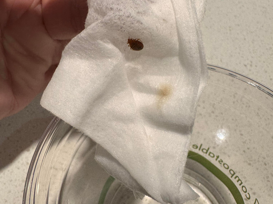 Springhill Suites by Marriott Chattanooga South/Ringgold, GA主图