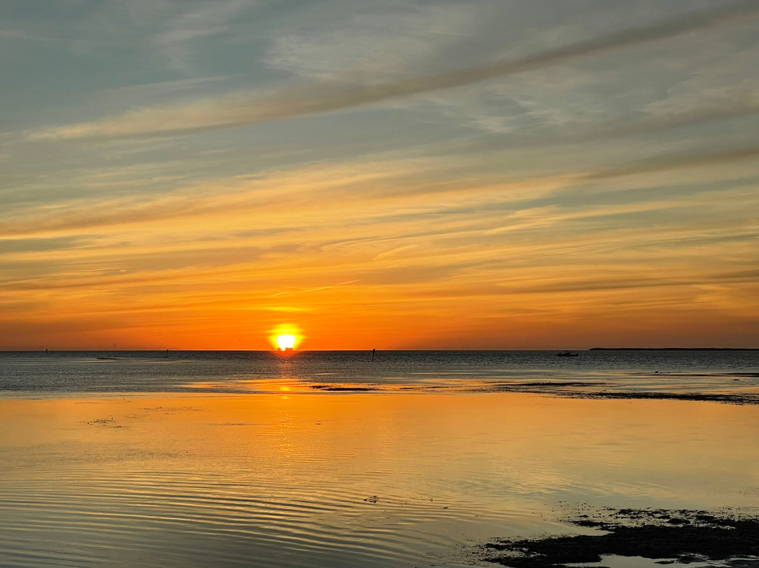My Coastal Adventure-Big Pine Key必去景点