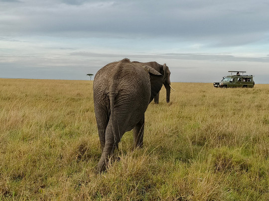 Aventura En Africa-纳罗克必去景点