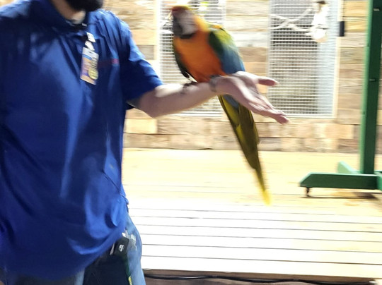 San Antonio Aquarium-圣安东尼奥市必去景点
