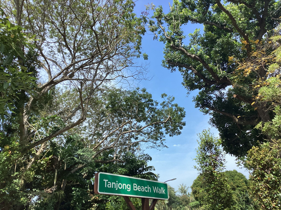 丹戎海滩-圣淘沙岛必去景点