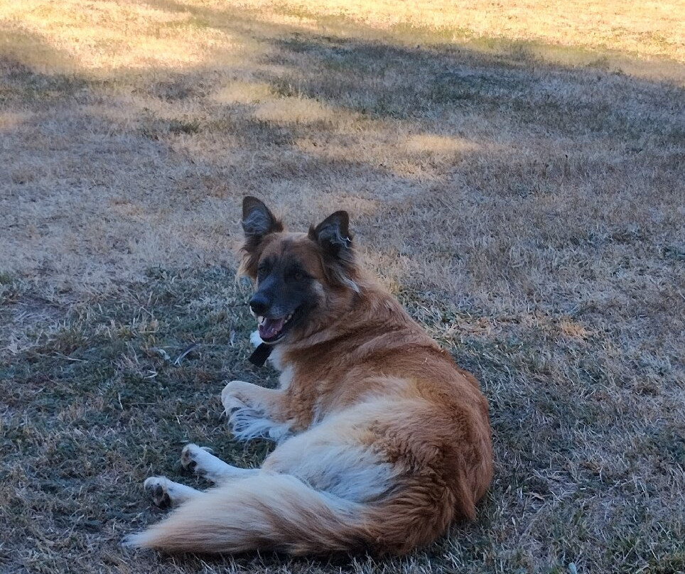 Hosteria Andenrose主图