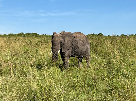 Coast Camping Tours & Safaris-蒙巴萨必去景点