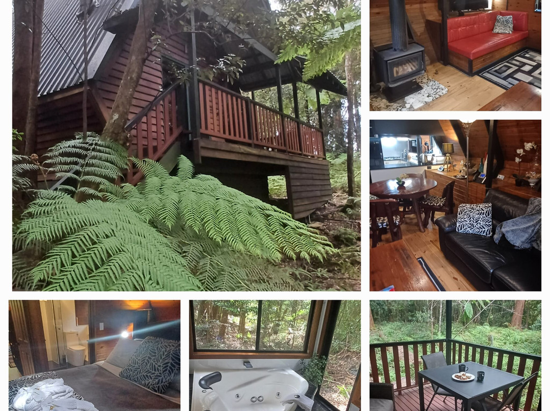 茅斯热带雨林度假村主图