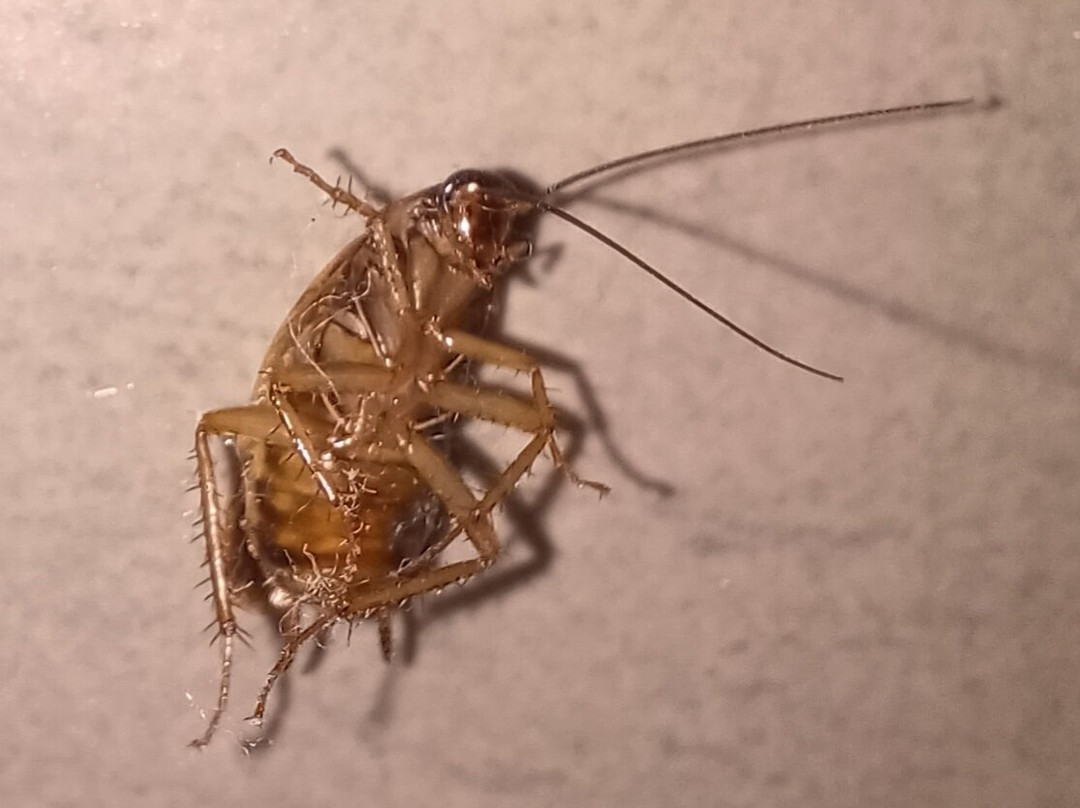 牙买加悦宜湾奢享酒店主图