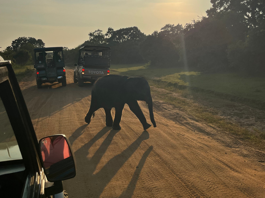 Southern Wild Safari-蒂瑟默哈拉默必去景点