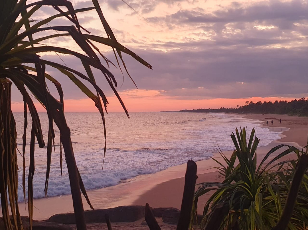 海龟湾大酒店主图