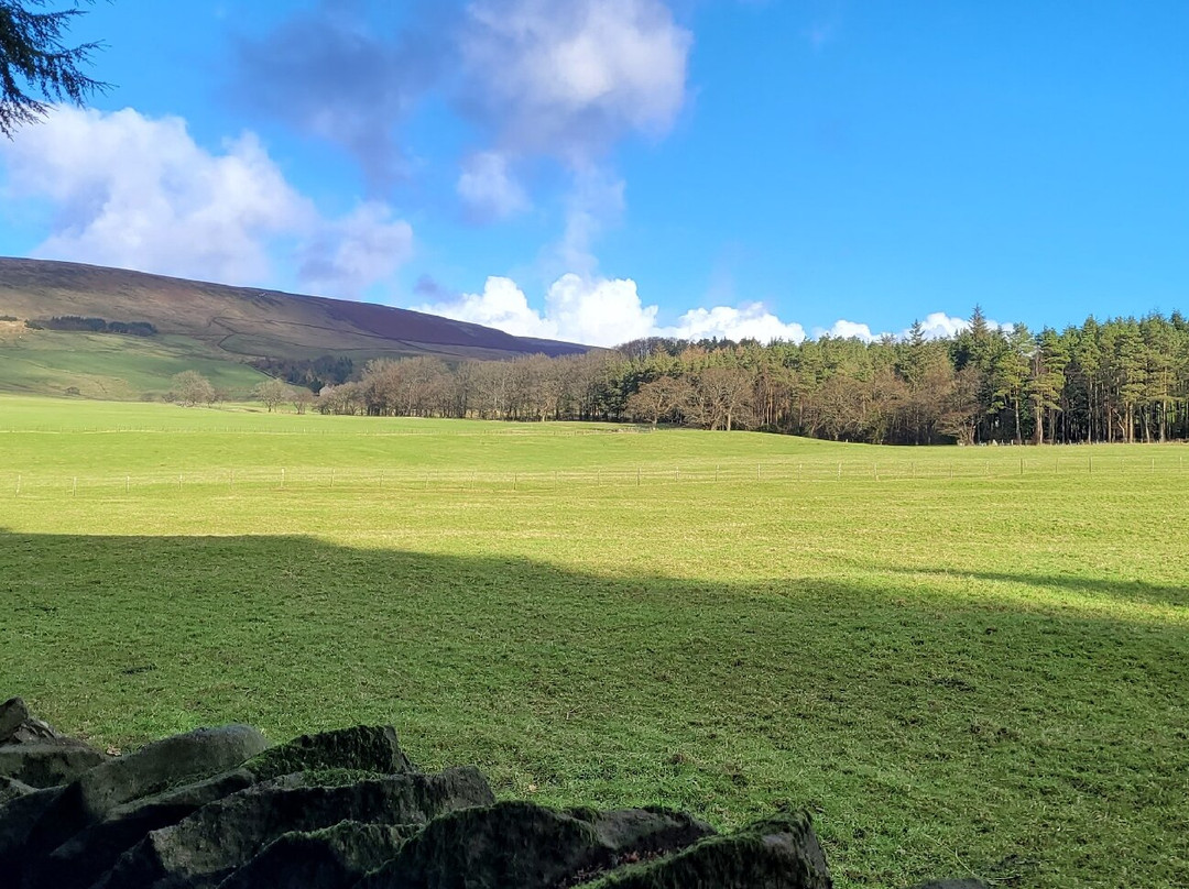 Forest of Bowland Area of Outstanding Natural Beauty景点图片