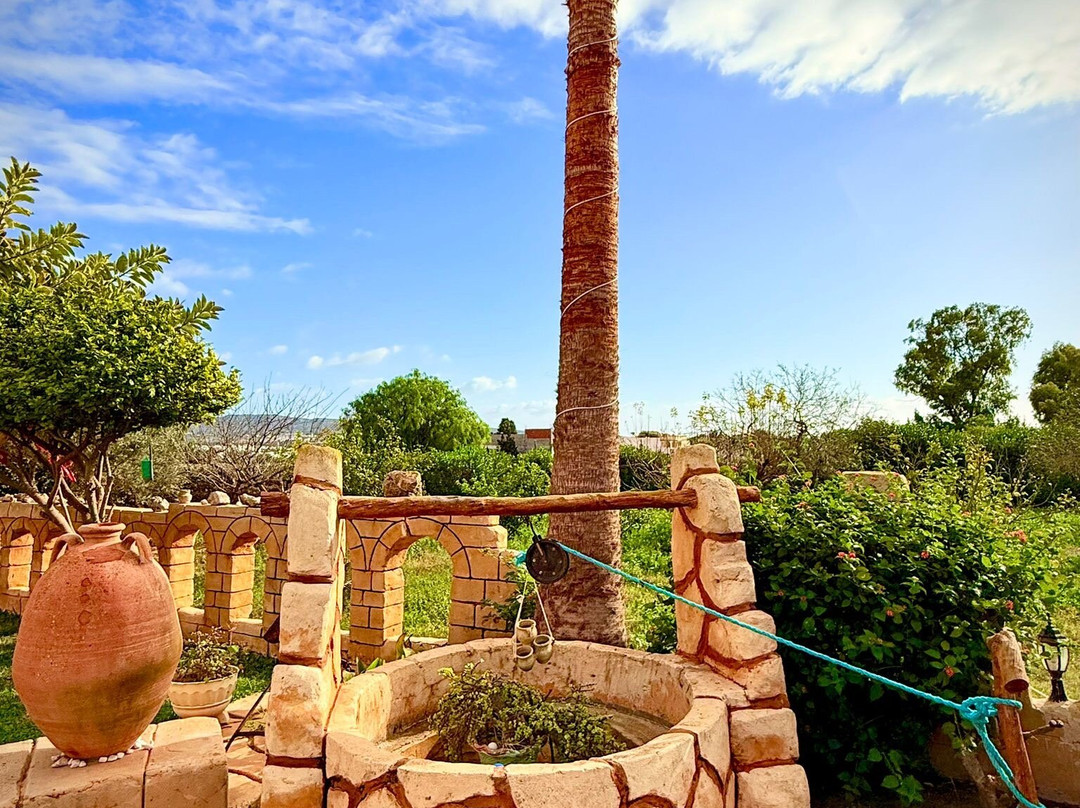 Quad Hammamet-Bir Bou Rekba必去景点