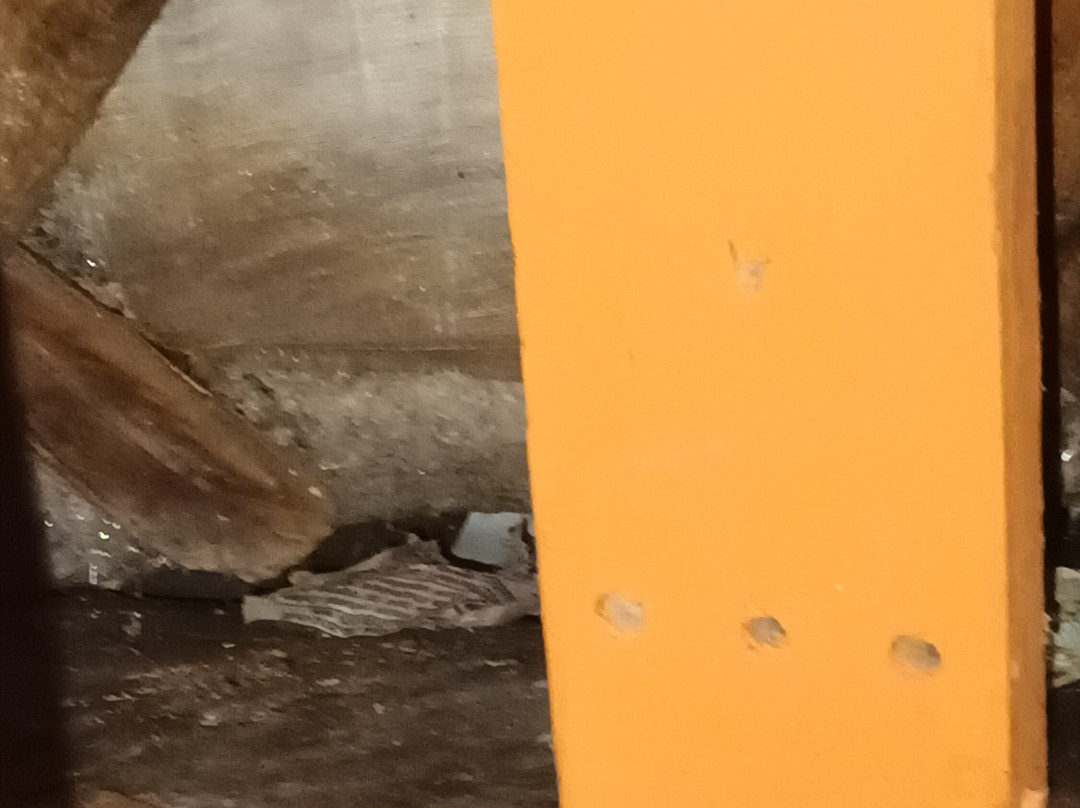 波萨达·曼瑞波莎酒店主图