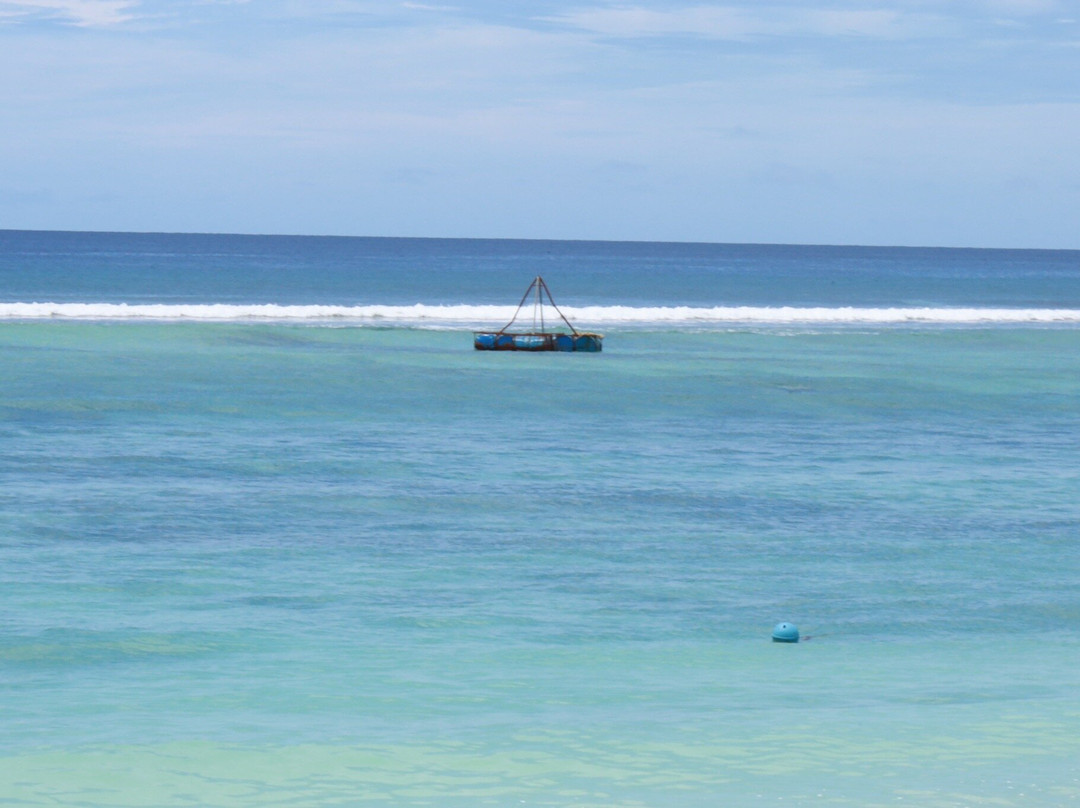 呼尔胡维拉海滩椰子树酒店主图