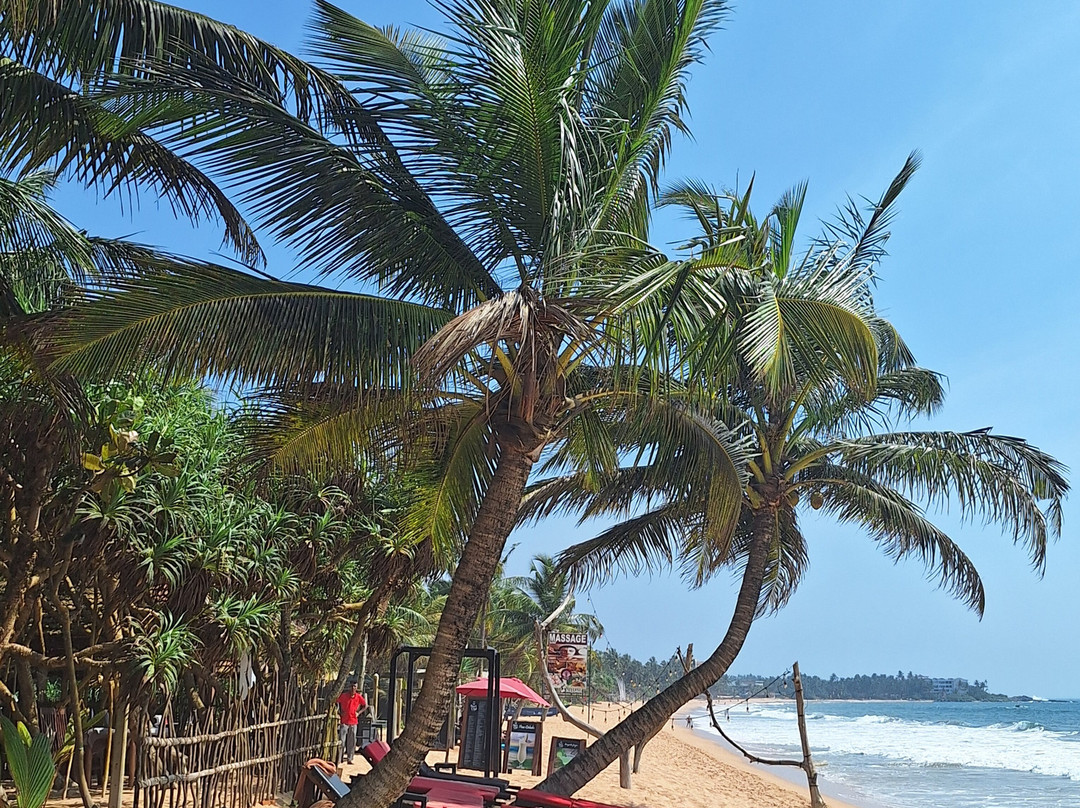 Arcade Beach Hotel主图