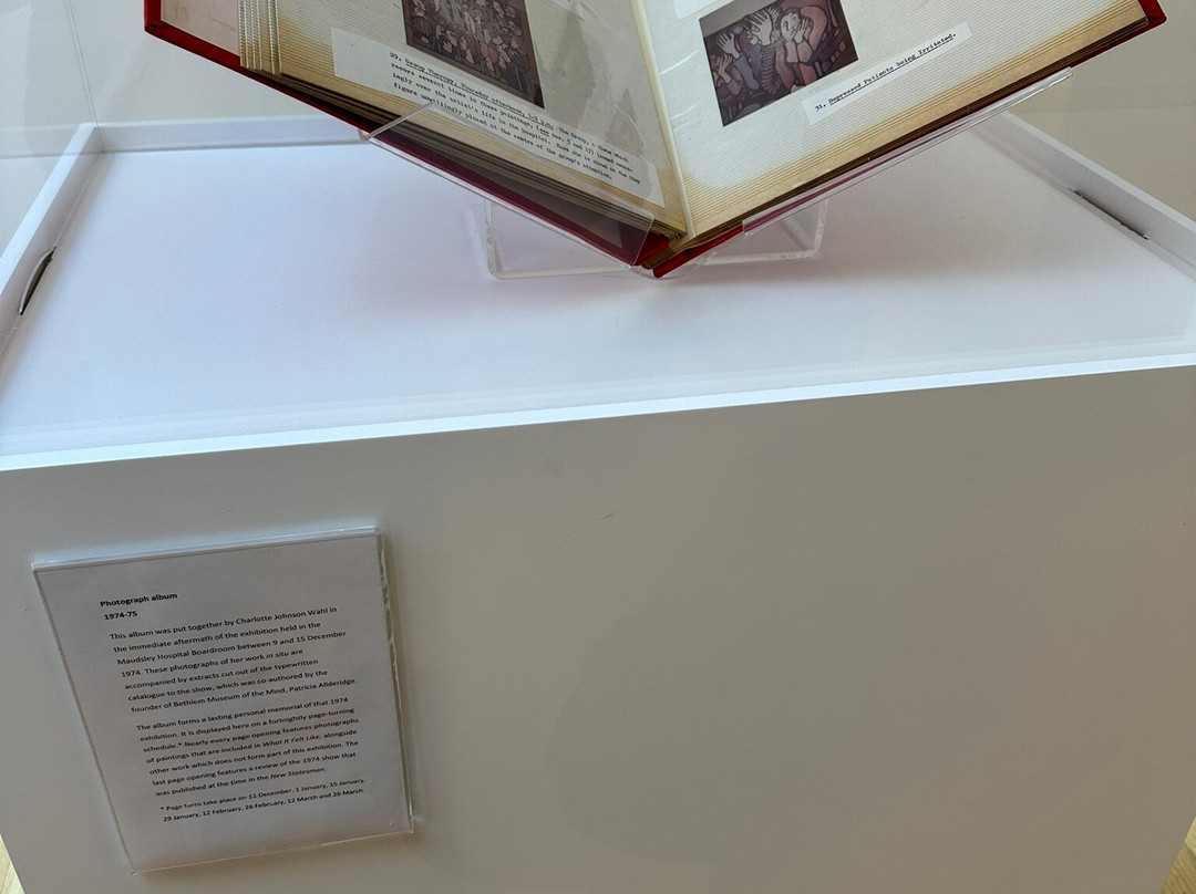 Bethlem Museum of the Mind景点图片