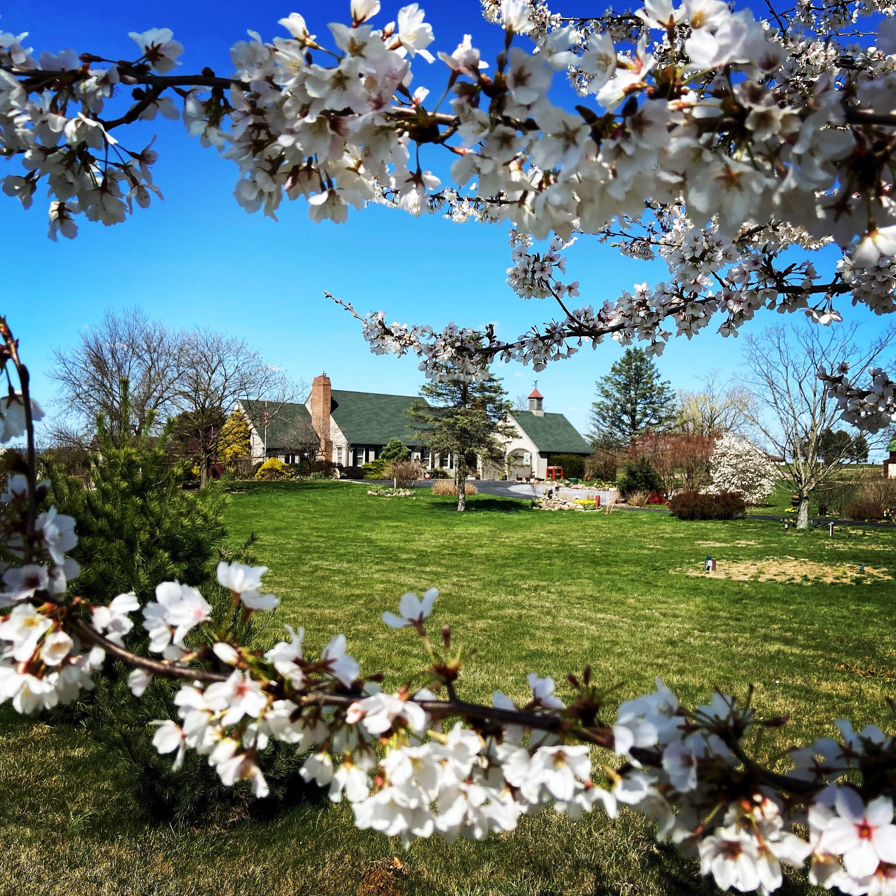 Annville Inn-官方
