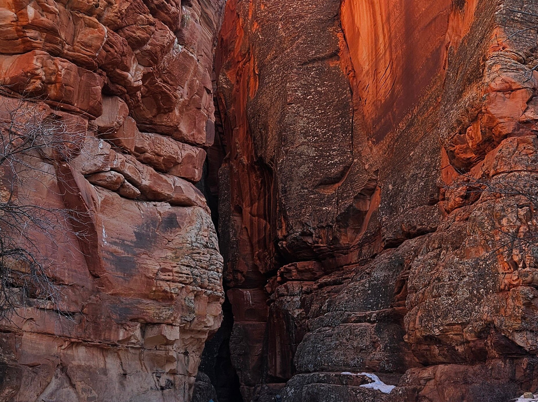 ROAM East Zion-锡安国家公园必去景点