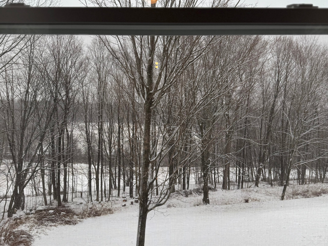 The Jeremiah Mason House Bed & Breakfast主图