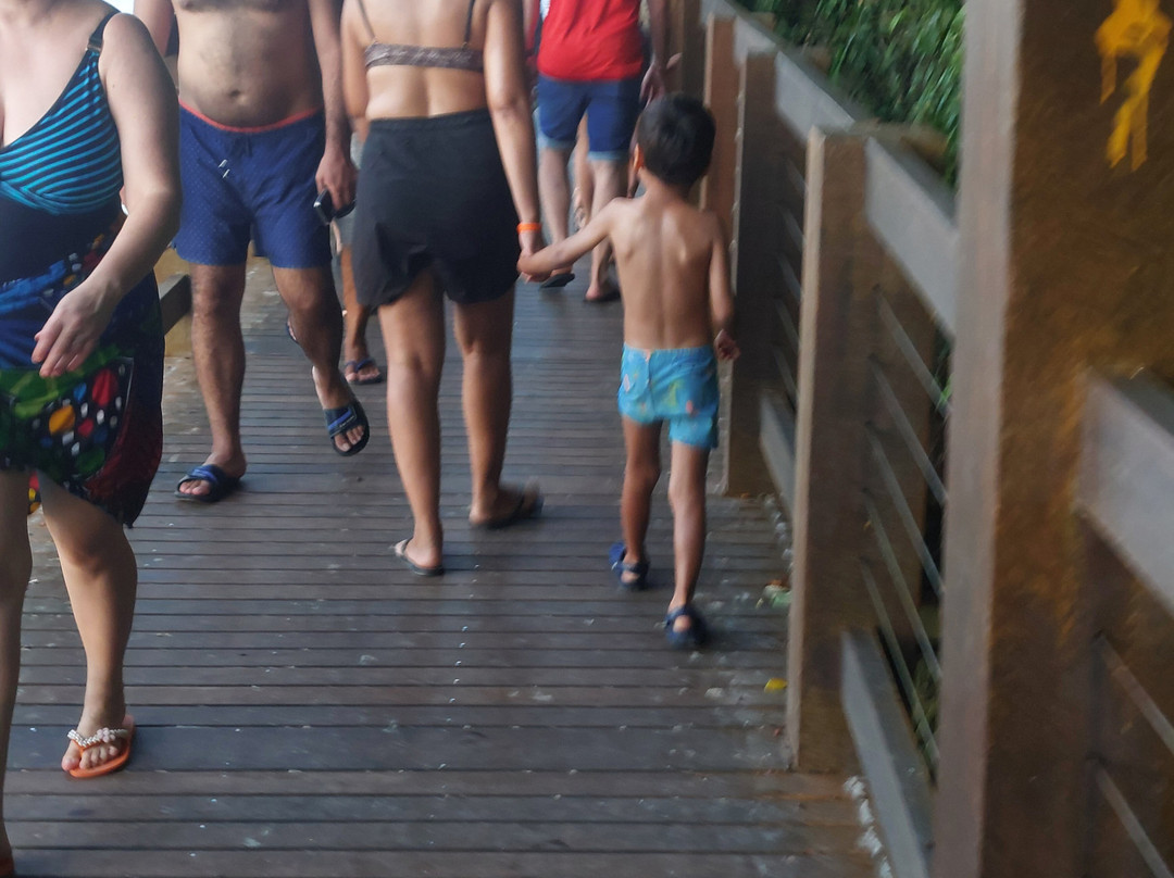 Passarela Do Ribeiro Bombinhas-Bombinhas必去景点