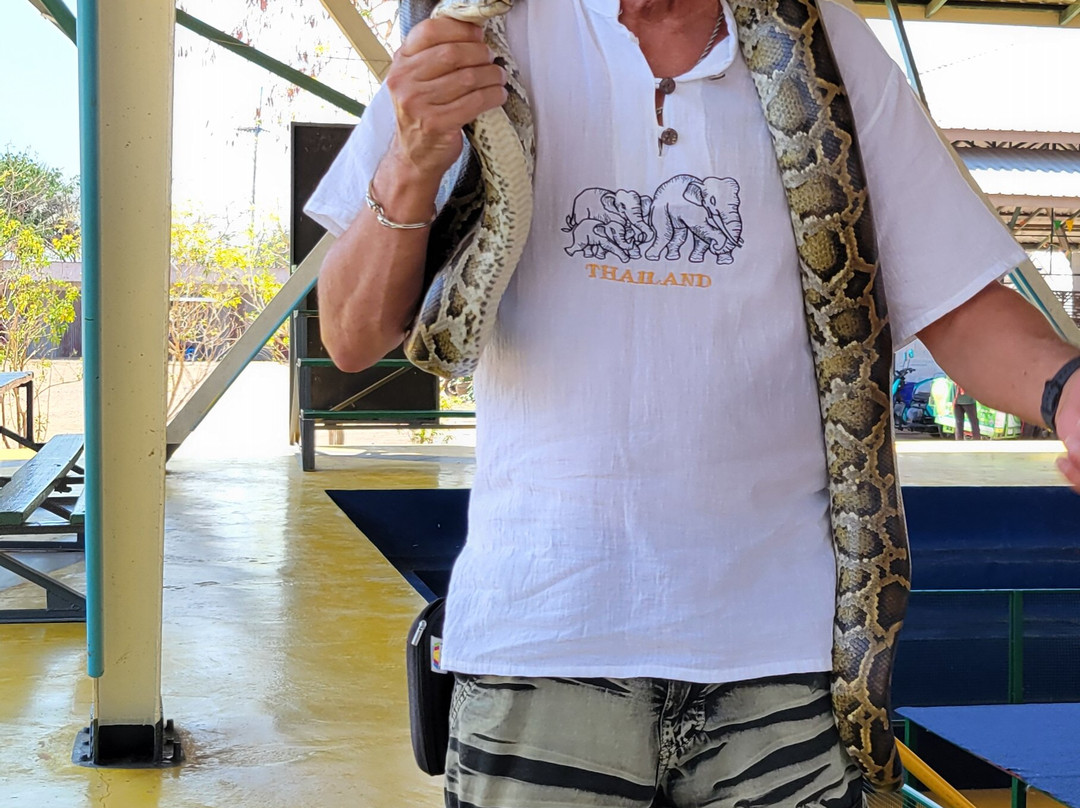 King Cobra Village景点图片