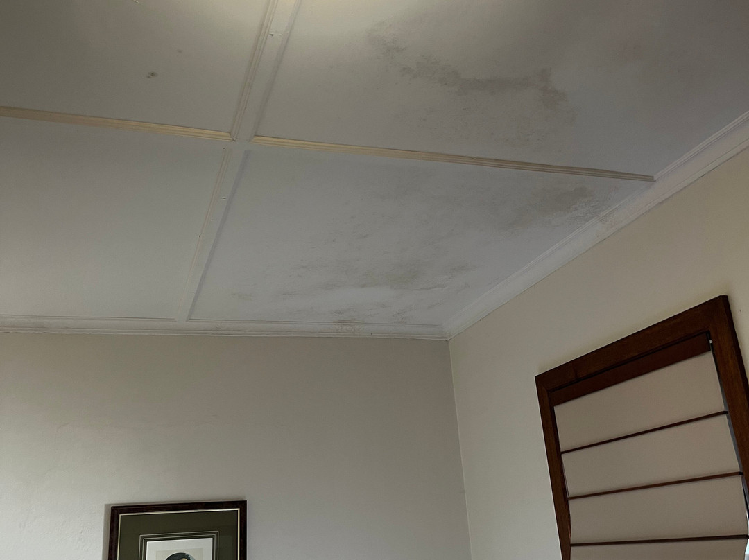 The Dormie House主图