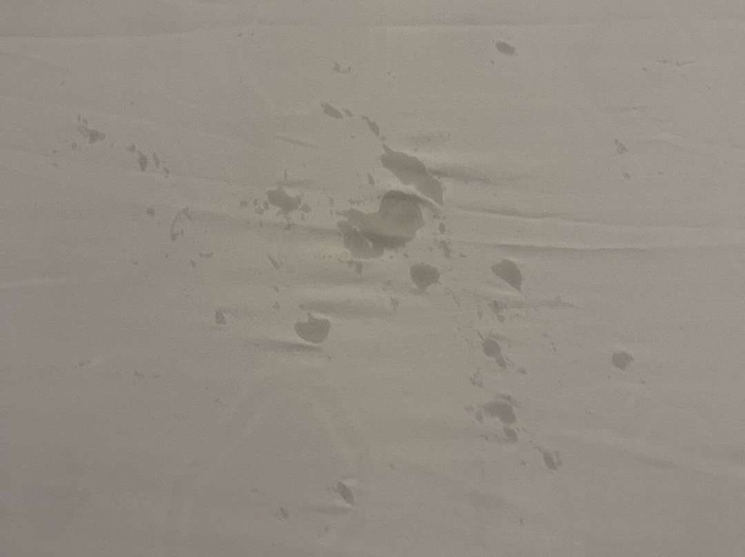 Weston Suites & Hotel主图