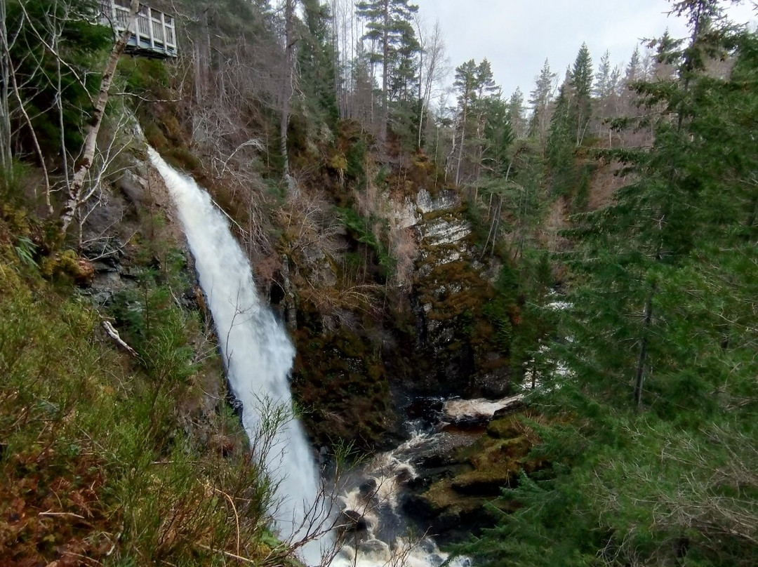 Plodda Falls-Tomich必去景点