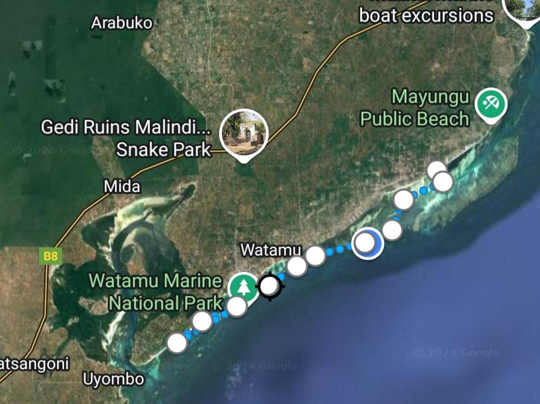 Surfari Afrika-迪亚尼必去景点