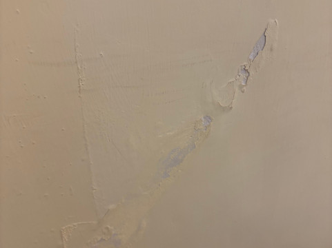 加尔各答无与伦比酒店主图