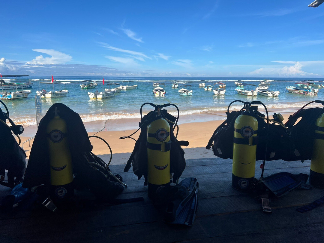International Diving School景点图片
