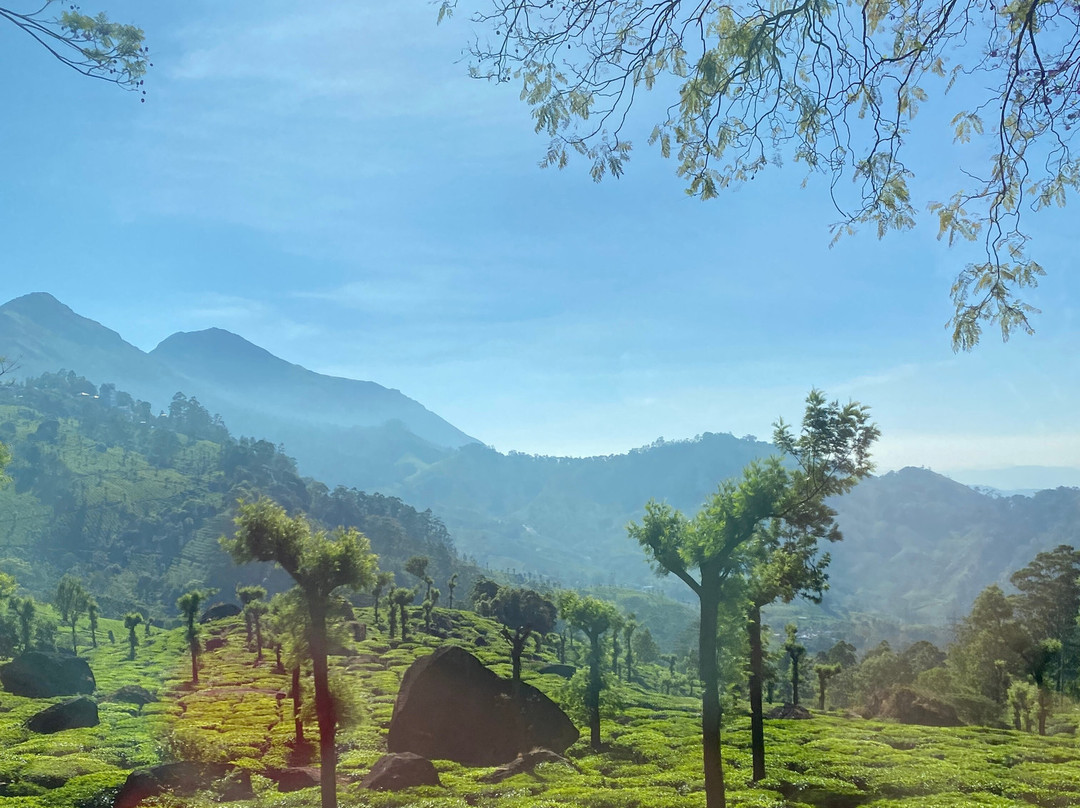 The Indian Journeys景点图片