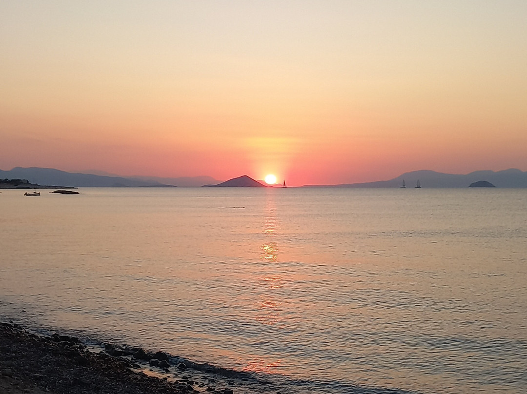 Lalaounis Aegina Luxury Transfer & Travel景点图片