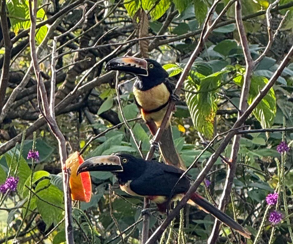 Sueño Rio Celeste Boutique B&B主图